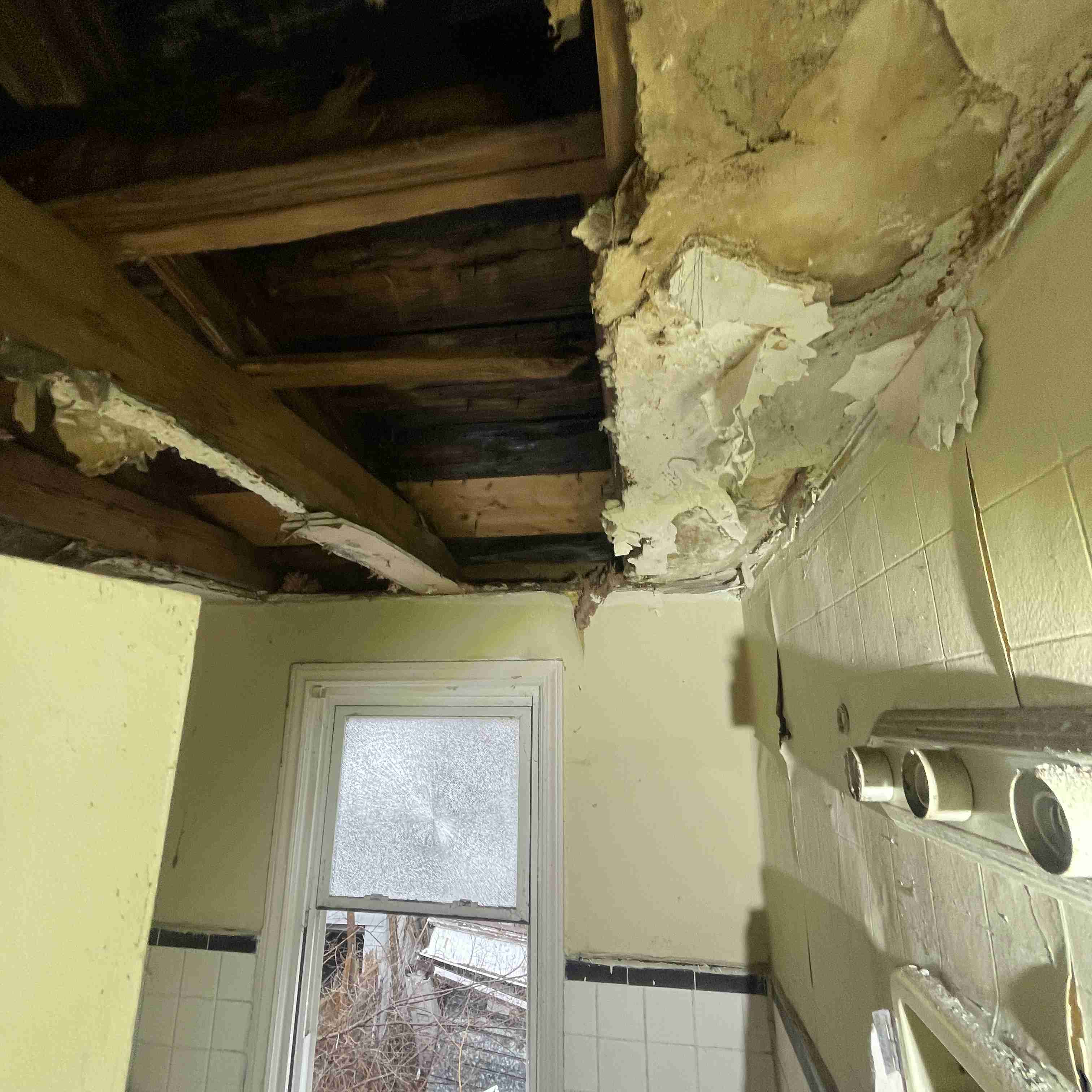 20015 Schoenherr (52).jpg